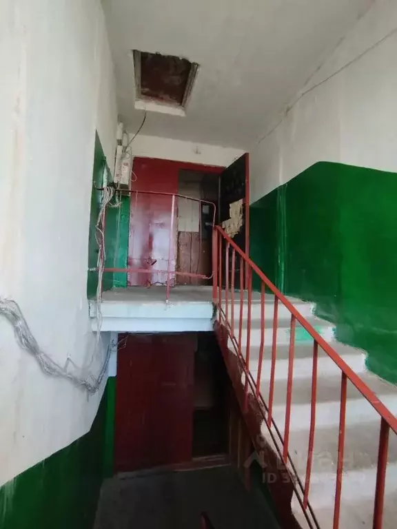 1-к кв. Рязанская область, Шилово рп ул. Стройкова, 8 (22.0 м) - Фото 1