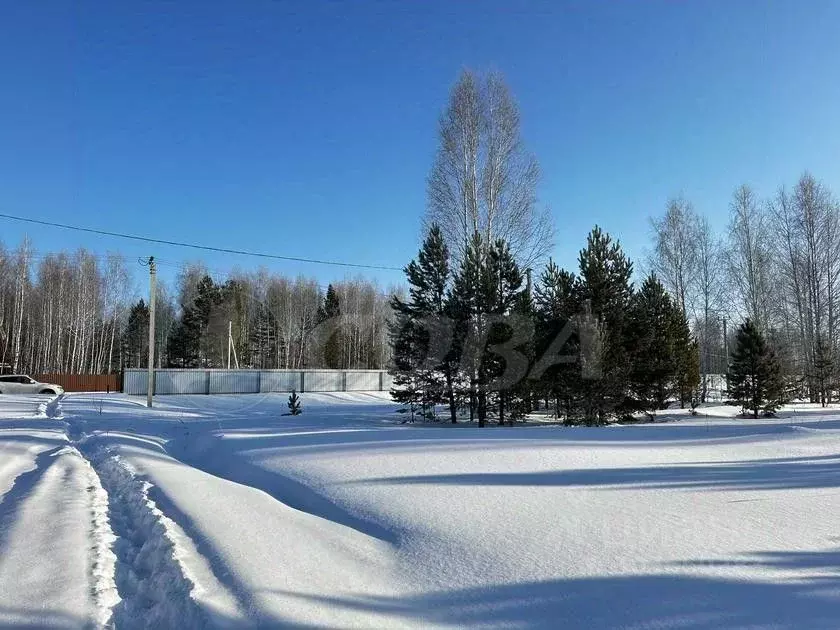 Участок в Тюменская область, Нижнетавдинский район, с. Паченка  (15.0 ... - Фото 0