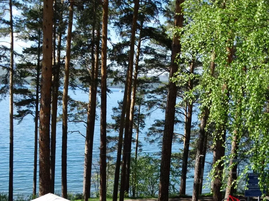 3-к кв. Челябинская область, Миасский городской округ, пос. Тургояк ... - Фото 2