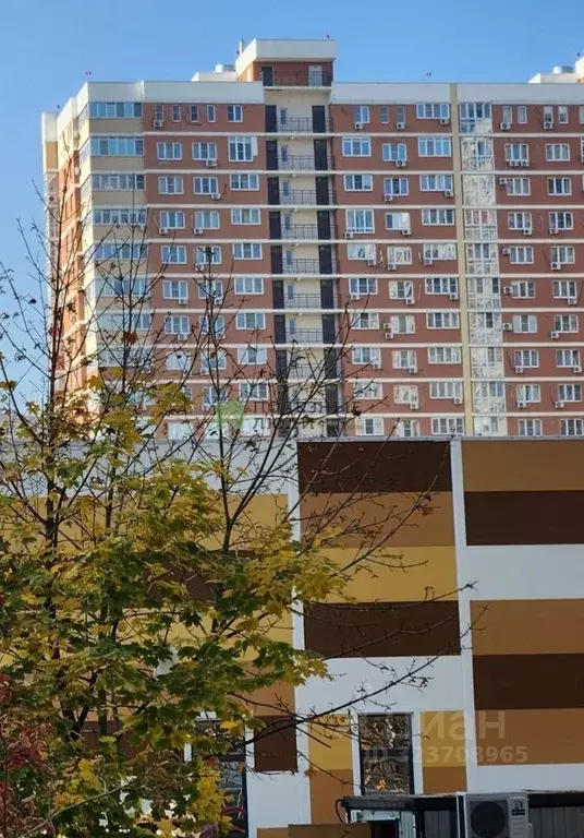 Помещение свободного назначения в Краснодарский край, Краснодар ... - Фото 1