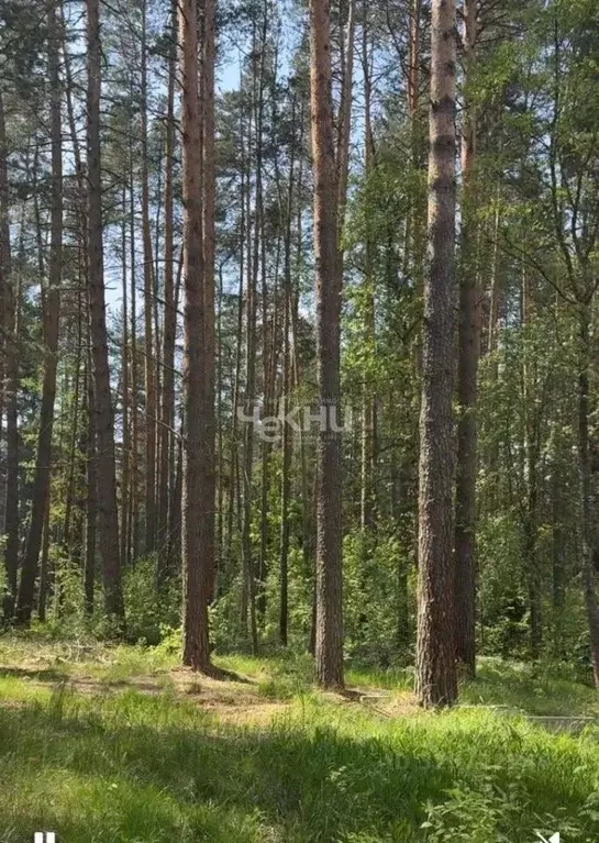 Участок в Нижегородская область, Бор  (122.0 сот.) - Фото 1