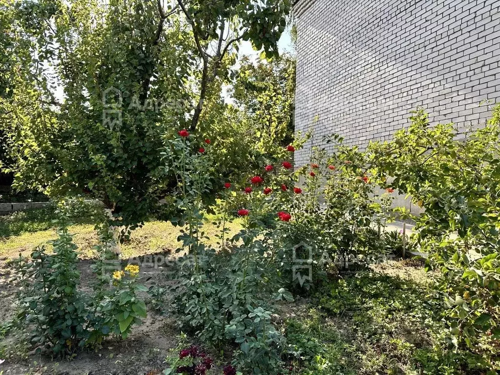 Дом в Волгоградская область, Волгоград Причальная ул. (273 м) - Фото 0