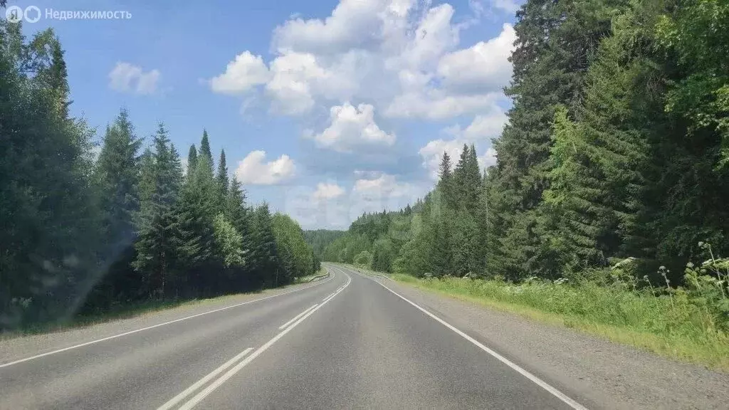 Участок в Томский район, деревня Халдеево (15 м) - Фото 2