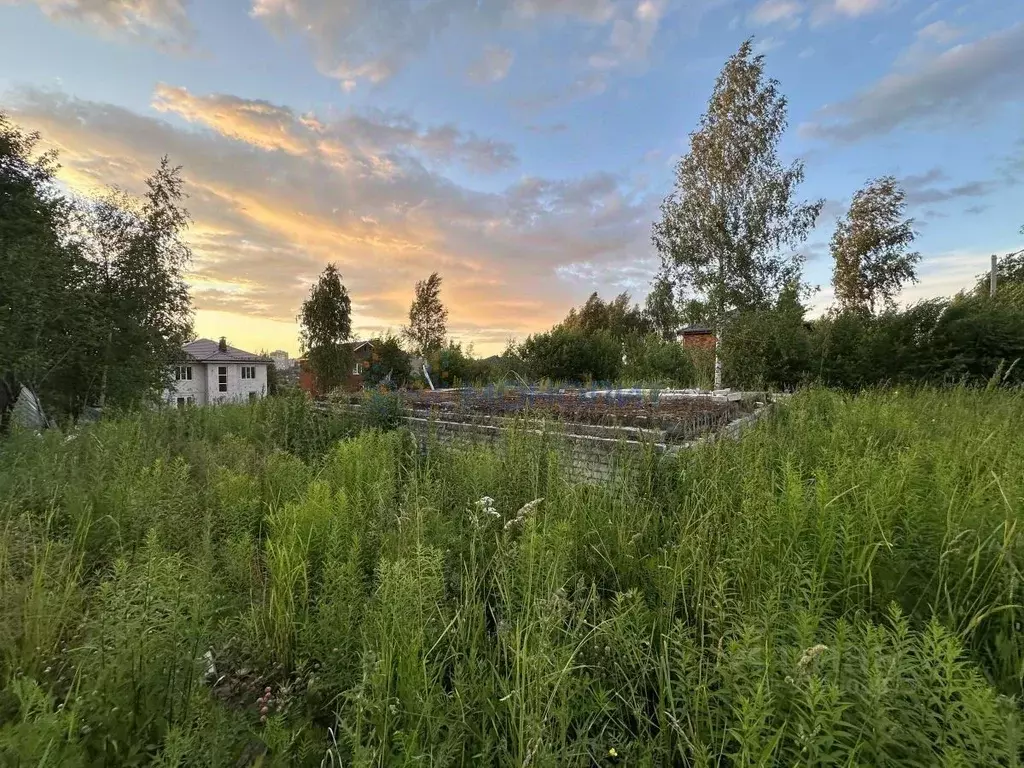 Участок в Нижегородская область, Нижний Новгород Надежда ТИЗ, 109 ... - Фото 1