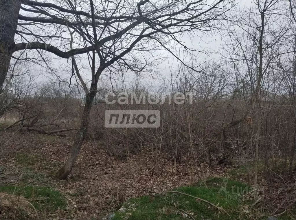 Участок в Краснодарский край, Абинский район, Ахтырское городское ... - Фото 1
