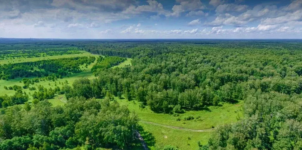 Участок в Новосибирская область, Новосибирский район, Кубовинский ... - Фото 1