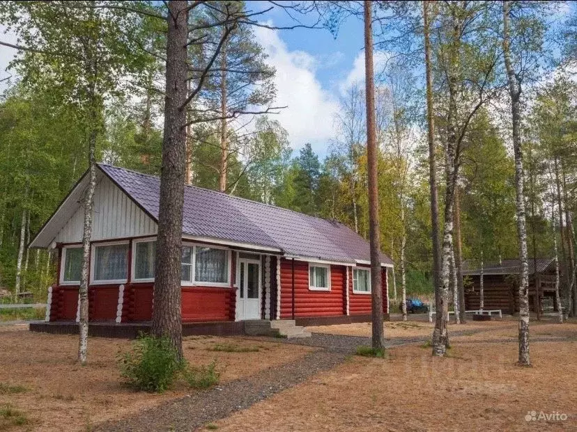 Дом в Карелия, Пряжа пгт ул. Сосновый Бор, 9 (75 м) - Фото 0