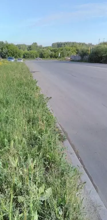 Склад в Новосибирская область, Новосибирск Тайгинская ул., 11к4 (8 м) - Фото 2