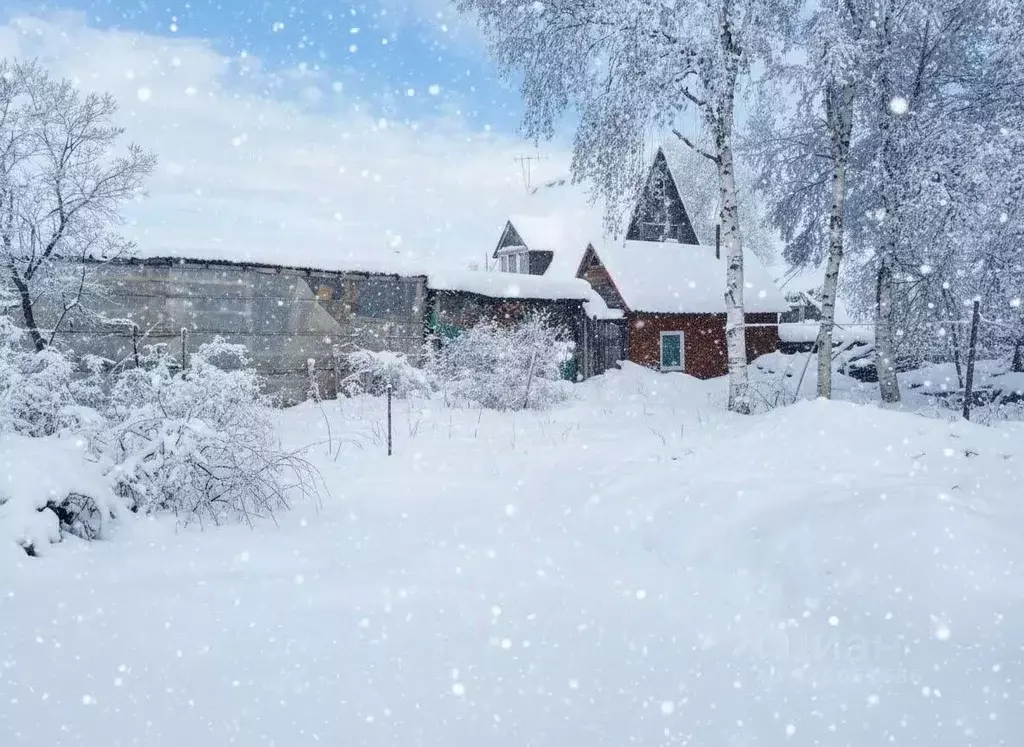 Дом в Камчатский край, Елизовский муниципальный округ, Рыбак СНТ  (50 ... - Фото 1