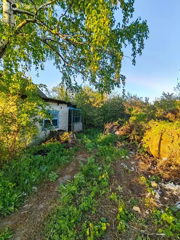 Дом в Волгоград, СНТ Спутник, массив 1, 2-я линия, 112 (20 м) - Фото 0