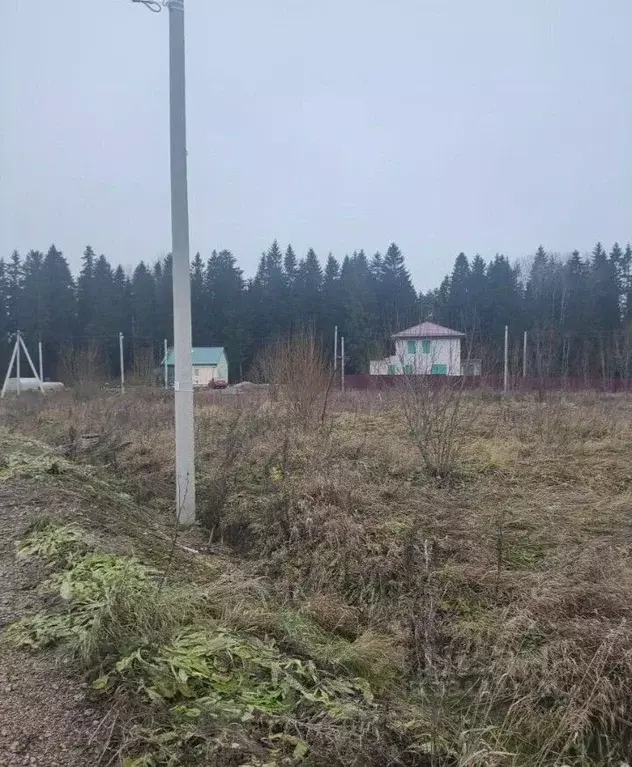 Участок в Ленинградская область, Ломоносовский район, Лопухинское ... - Фото 2