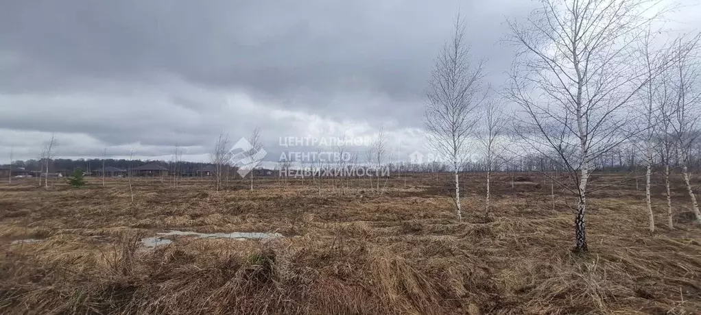 Участок в Рязанская область, Рязанский муниципальный округ, д. ... - Фото 2