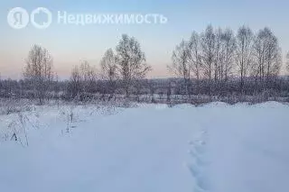 Участок в Ярославль, жилой район Липовая Гора, Лютовская улица (9.4 м) - Фото 1