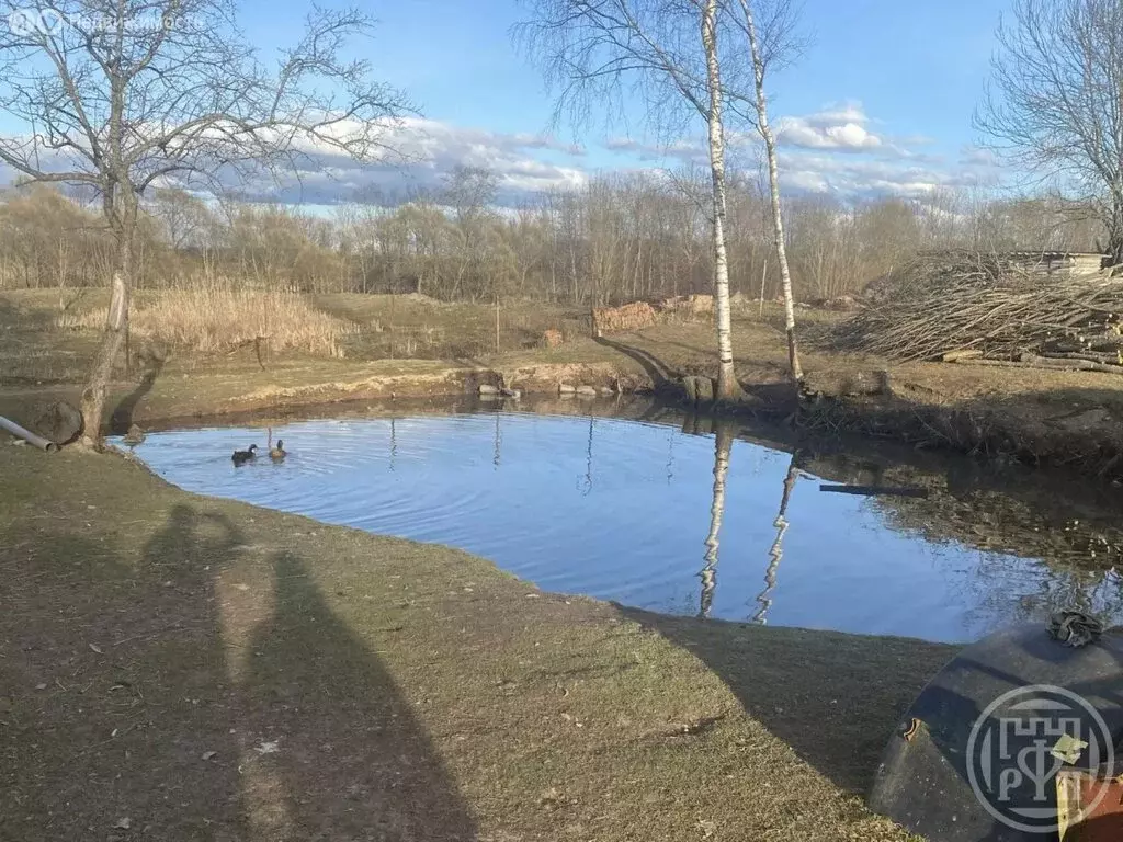 Дом в Новгородская область, Батецкий муниципальный округ, деревня ... - Фото 2