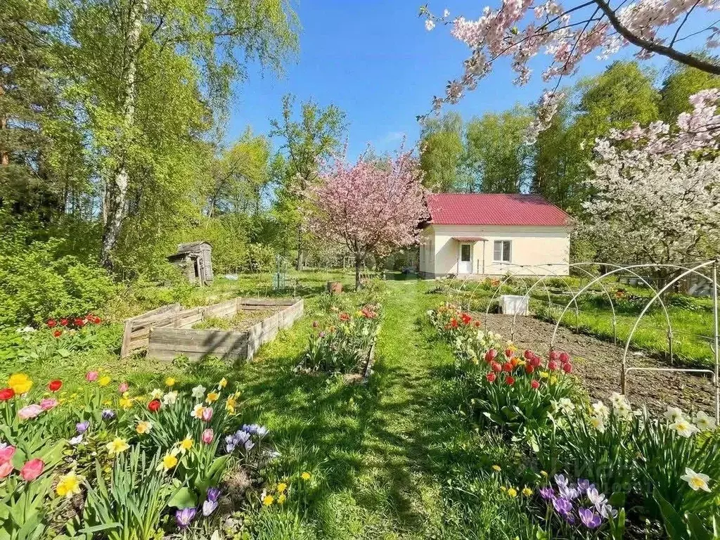 Дом, 65.5 м - Фото 1