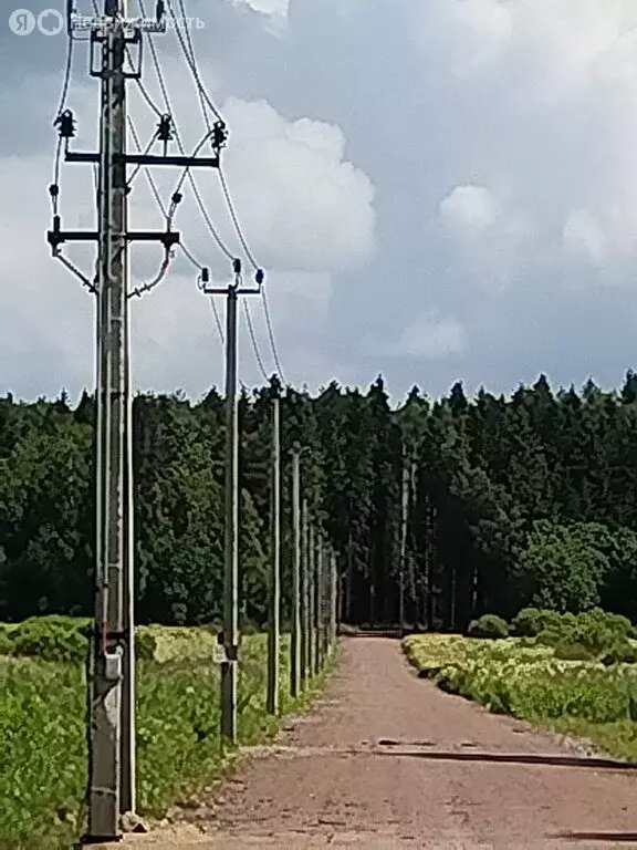 Участок в Ленинградская область, Всеволожск (7.48 м) - Фото 1