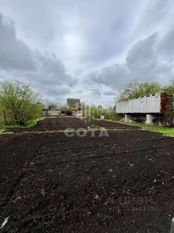 Участок в Воронежская область, Верхнехавский район, Малоприваловское ... - Фото 0