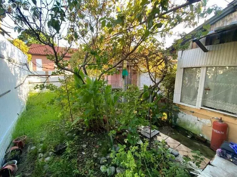 Участок в Сочи, Енисейская улица (1000 м) - Фото 1