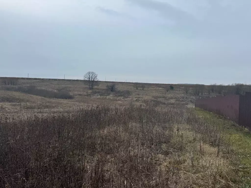 Участок в Московская область, Кашира городской округ, д. Аладьино  ... - Фото 0