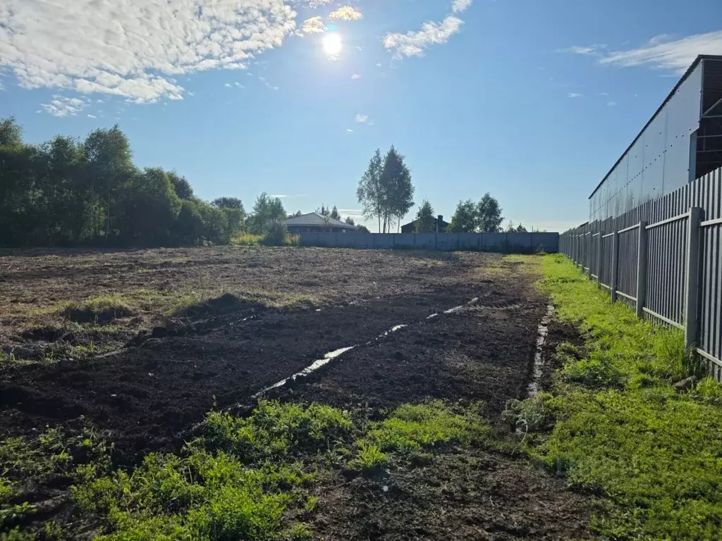 Участок в Тульская область, Тула городской округ, д. Федоровка ул. ... - Фото 2