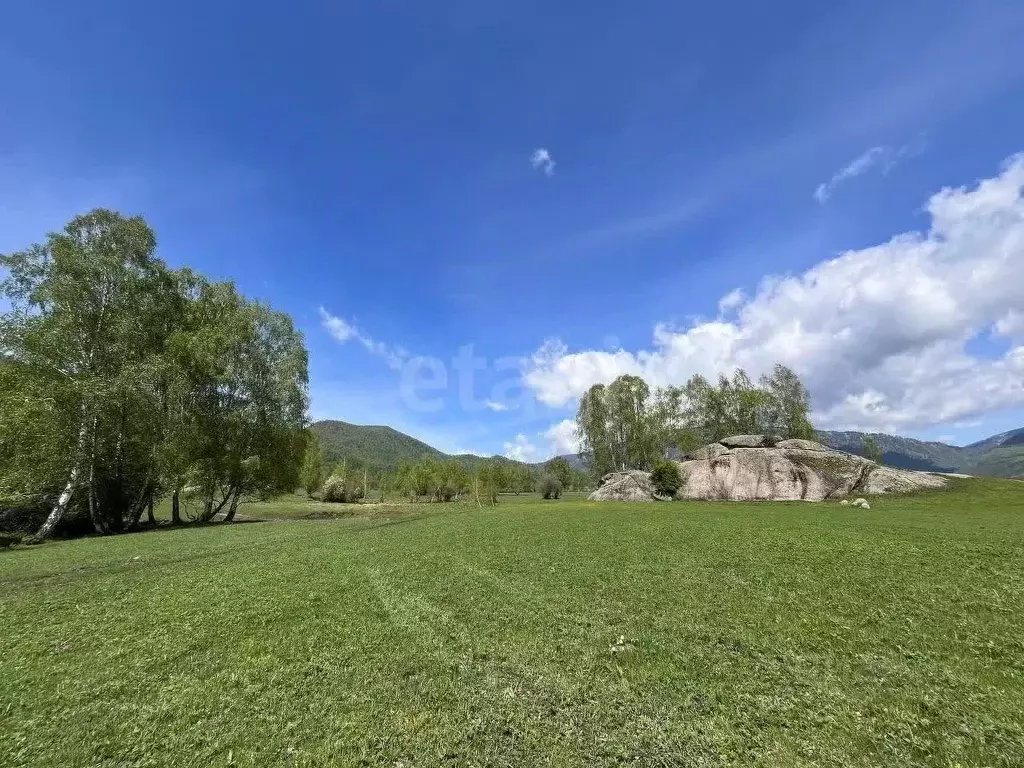 Участок в Алтай, Усть-Коксинский район, с. Усть-Кокса  (400.0 сот.) - Фото 1