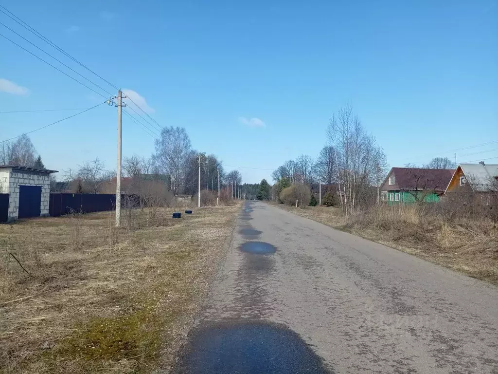 Участок в Владимирская область, Александровский район, Каринское ... - Фото 0