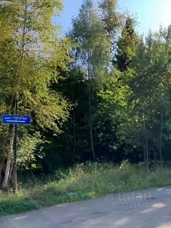 Участок в Московская область, Солнечногорск городской округ, Грачи СНТ ... - Фото 0