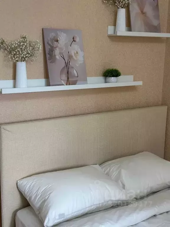 Студия Нижегородская область, Нижний Новгород просп. Гагарина, 101к5 ... - Фото 1