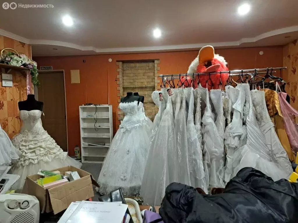 Помещение свободного назначения (39.7 м) - Фото 2