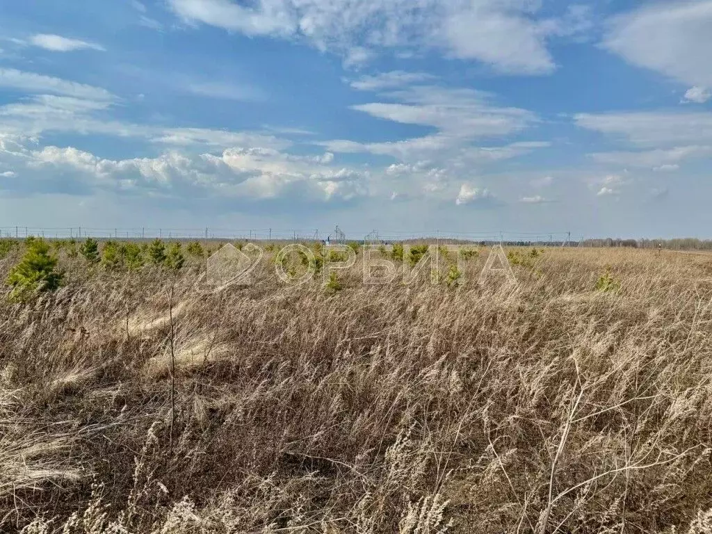 Участок в Тюменская область, Тюменский район, д. Есаулова ул. Гайдара, ... - Фото 2