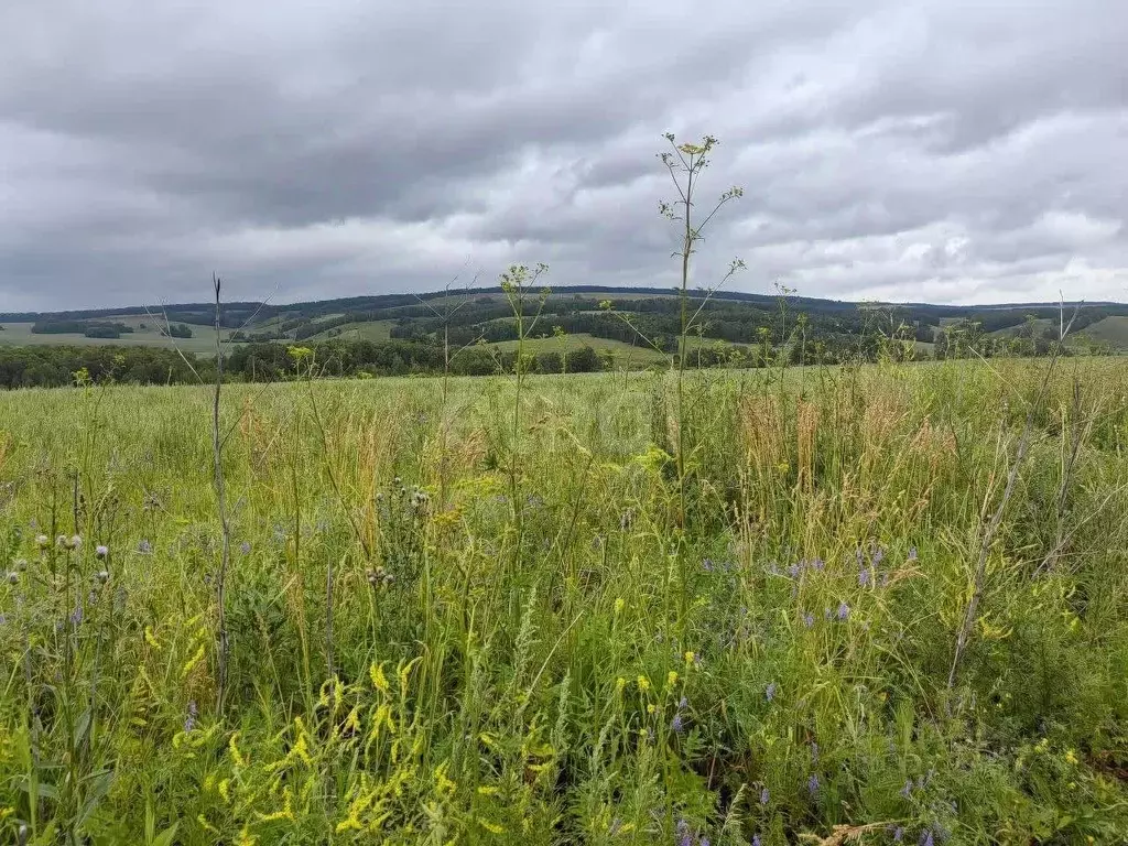 Участок в Красноярский край, Красноярск городской округ, пос. Элита ... - Фото 1