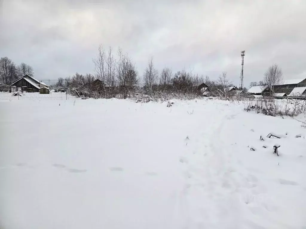 Участок в Московская область, Сергиево-Посадский городской округ, д. ... - Фото 2