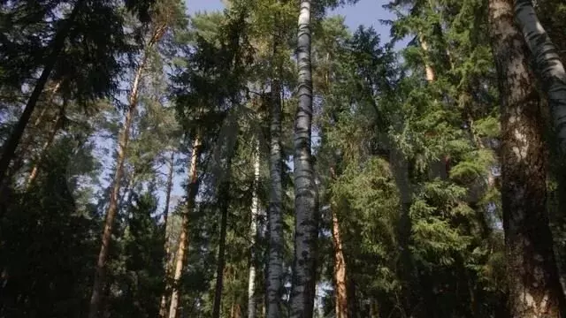 Участок 5,7 сот. (ИЖС) - Фото 1