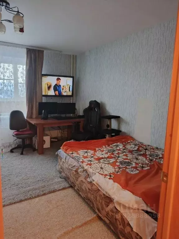 Студия Челябинская область, с. Аргаяш ул. Механизаторов, 4 (23.9 м) - Фото 2