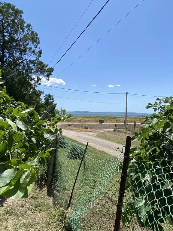 Участок в Краснодарский край, Темрюкский район, Фонталовское с/пос, ... - Фото 2