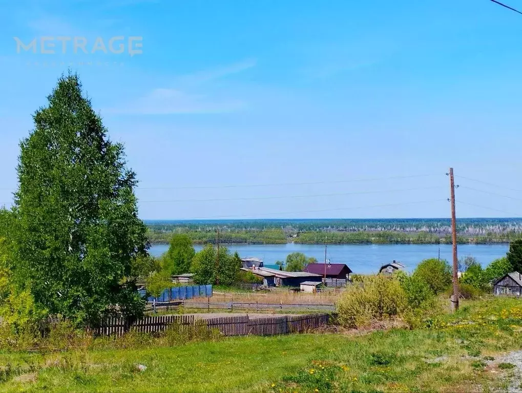 Участок в Новосибирская область, Мошковский район, с. Дубровино ... - Фото 0