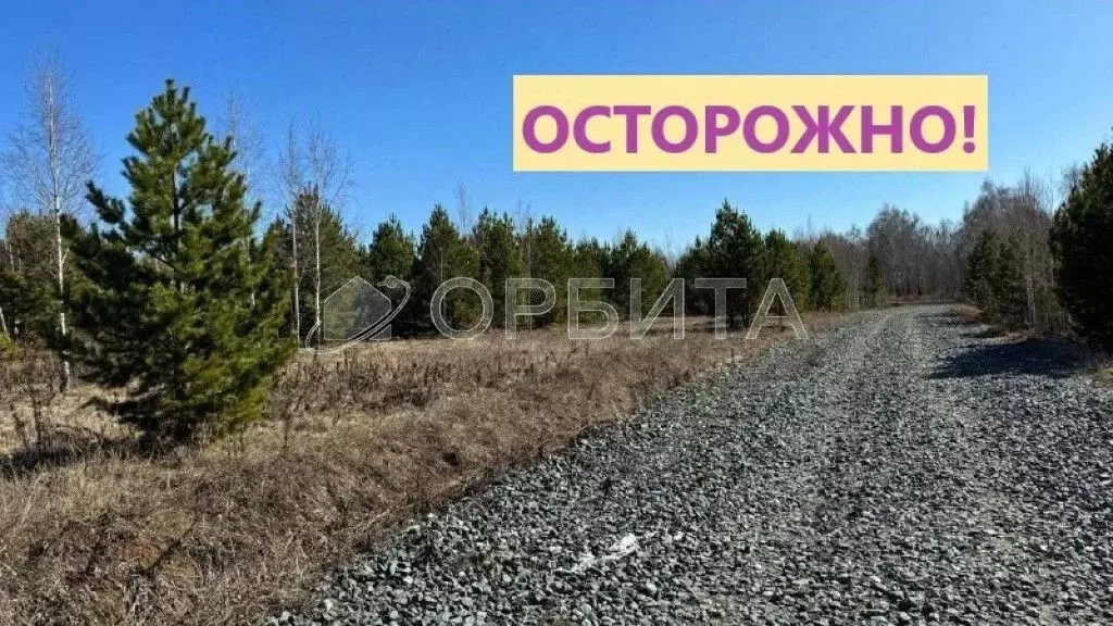 Участок в Тюменская область, Тюменский район, Онегин кп ул. Евгения ... - Фото 0