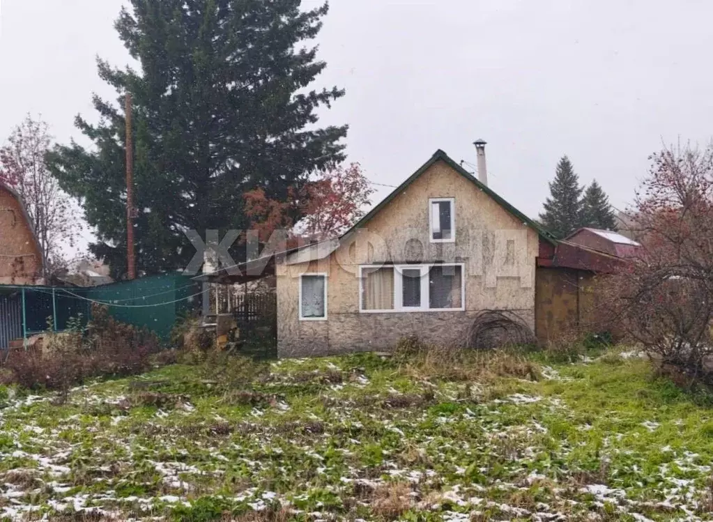 Дом в Новосибирская область, Новосибирский район, Толмачевский ... - Фото 2