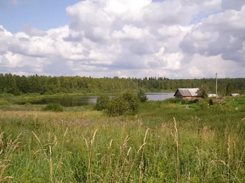 Участок в Новгородская область, Валдайский район, Ивантеевское с/пос, ... - Фото 1