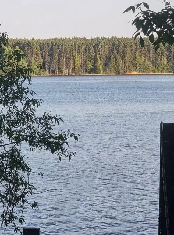 Участок в Тверская область, Кашинский муниципальный округ, д. Домажино ... - Фото 2