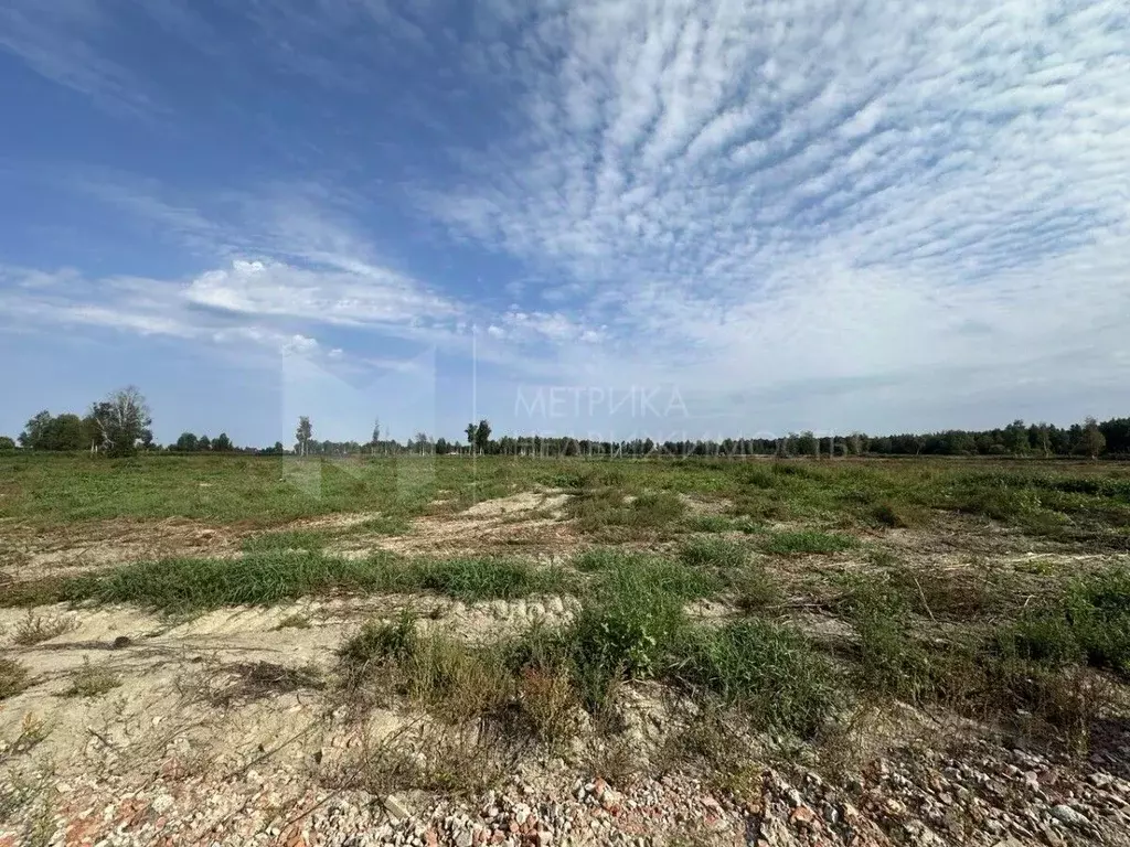 Участок в Тюменская область, Нижнетавдинский район, с. Средние Тарманы ... - Фото 2