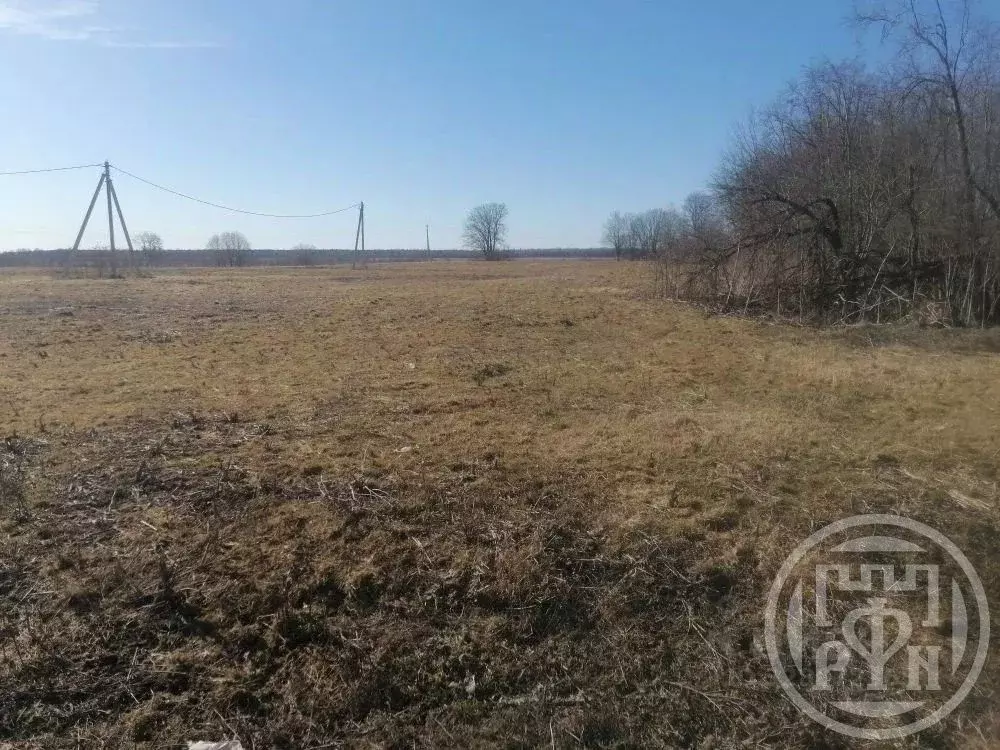 Участок в Ленинградская область, Лужский район, Заклинское с/пос, д. ... - Фото 2