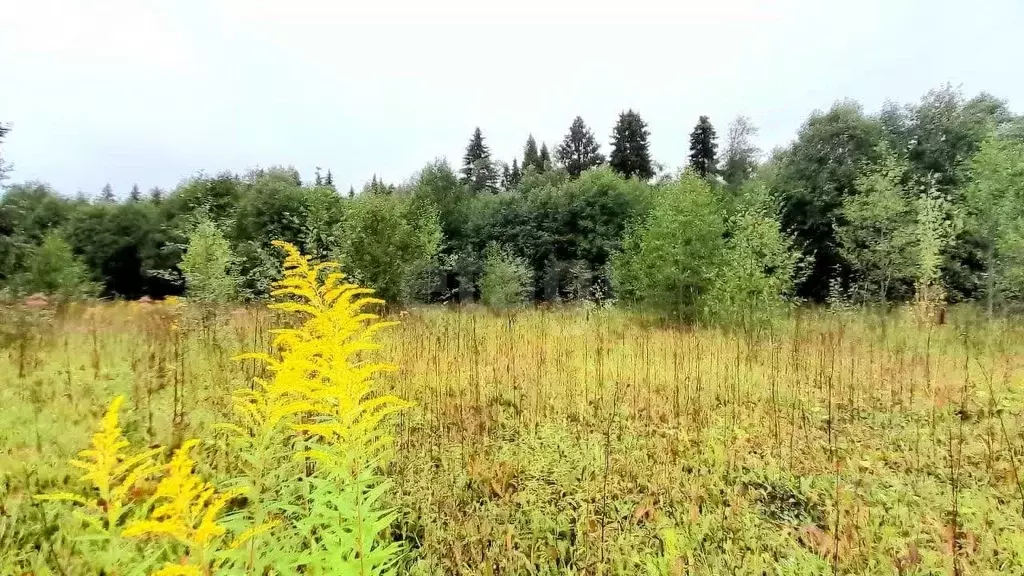Участок в Кировская область, Киров городской округ, д. Чарушины  (10.5 ... - Фото 2