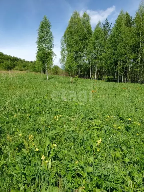 Участок в Алтайский край, Алтайский район, с. Алтайское  (2598.0 сот.) - Фото 1