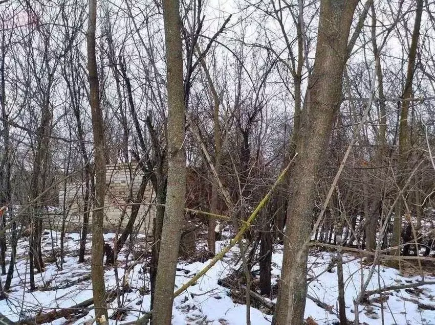 Дом в Воронежская область, Новоусманский район, Орловское с/пос, с. ... - Фото 2