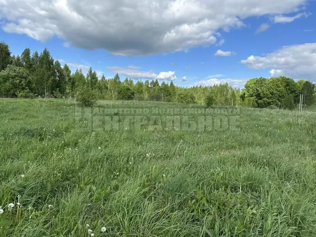 Участок в Смоленская область, Смоленск Подснежник садоводческое ... - Фото 2