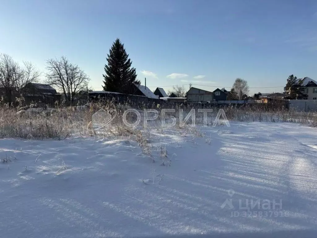 Участок в Тюменская область, Нижнетавдинский муниципальный округ, ... - Фото 1