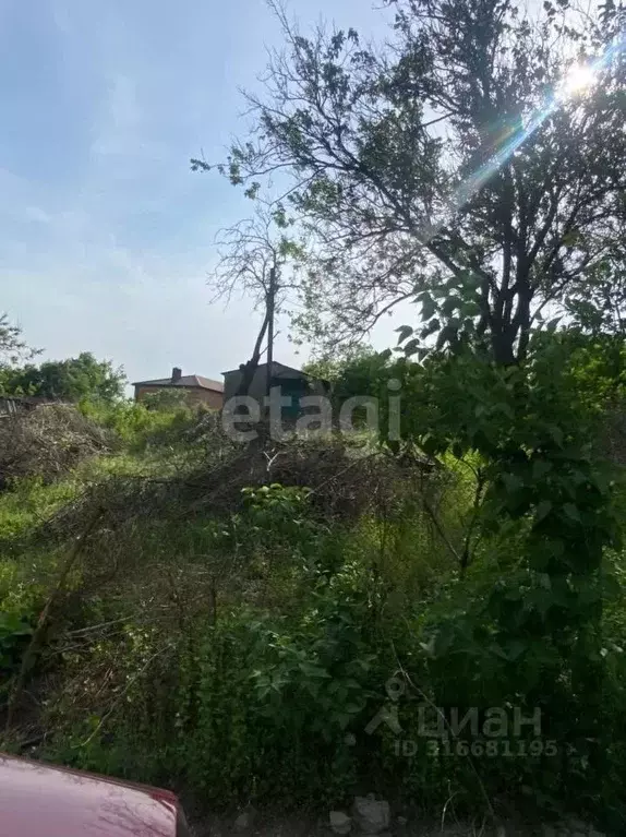 Участок в Ростовская область, Ростов-на-Дону Садовод-Любитель садовое ... - Фото 0
