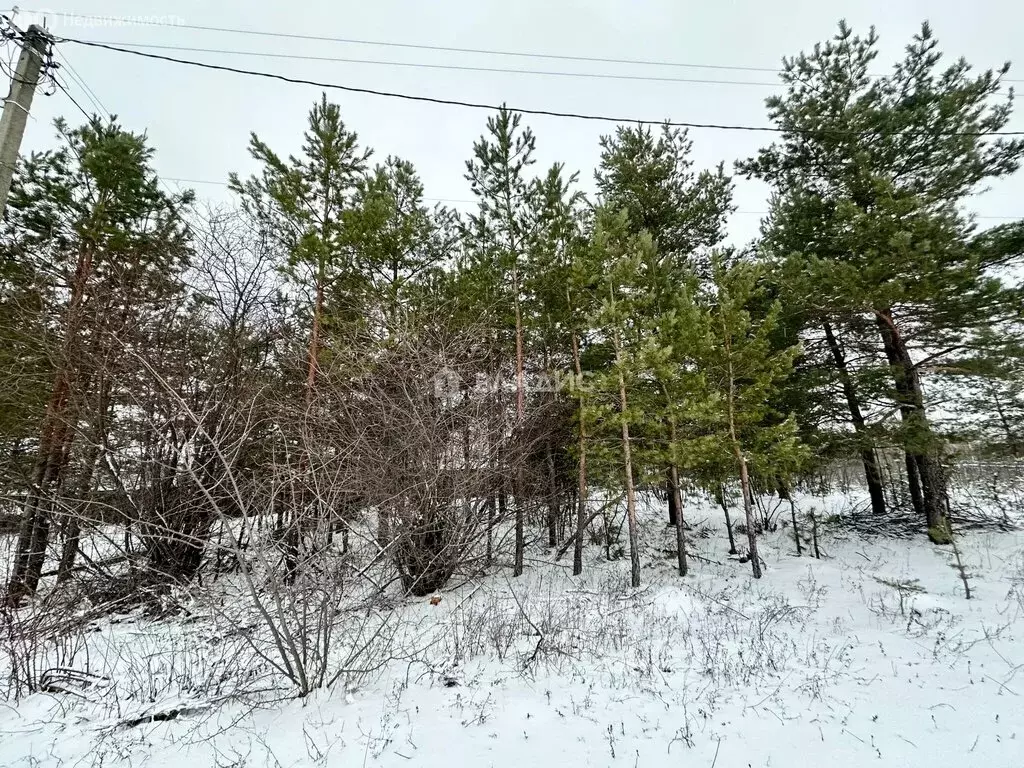 Участок в село Новоживотинное, Дорожная улица (13.6 м) - Фото 2