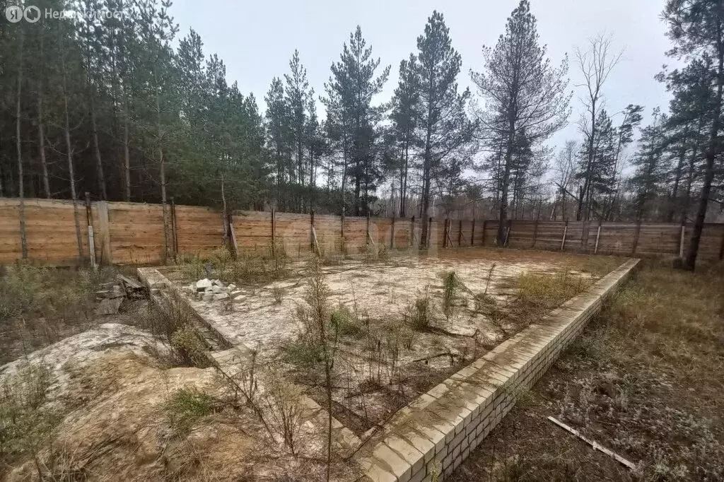 Участок в Рамонский район, Новоживотинновское сельское поселение, ... - Фото 2